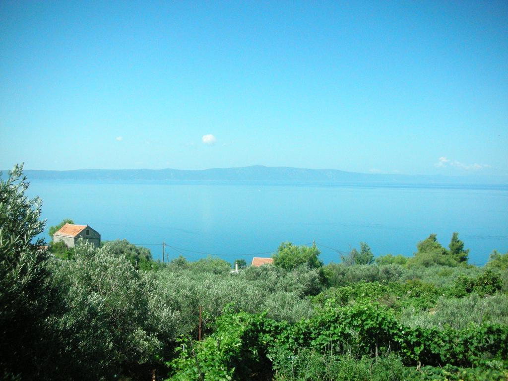 Apartment Croatia Art Drasnice Εξωτερικό φωτογραφία