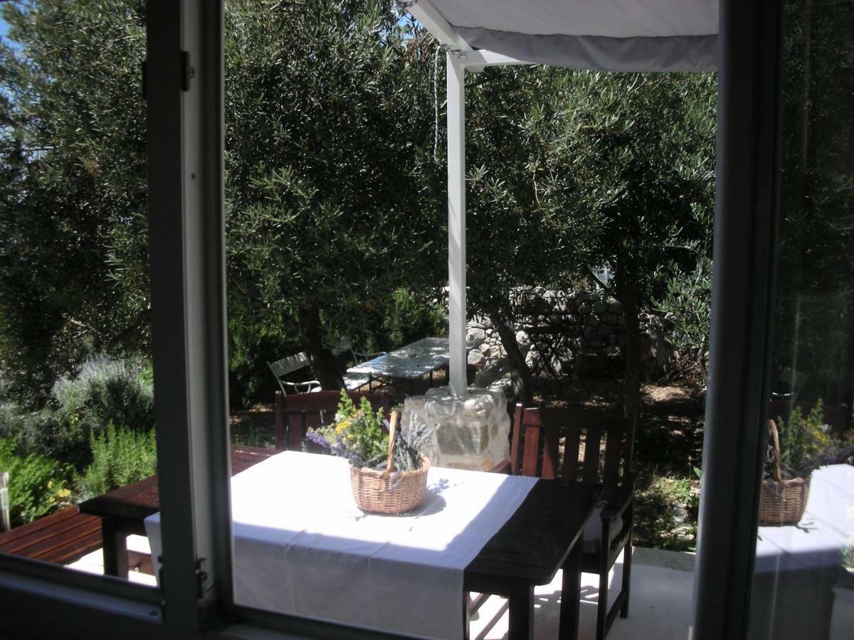 Apartment Croatia Art Drasnice Εξωτερικό φωτογραφία
